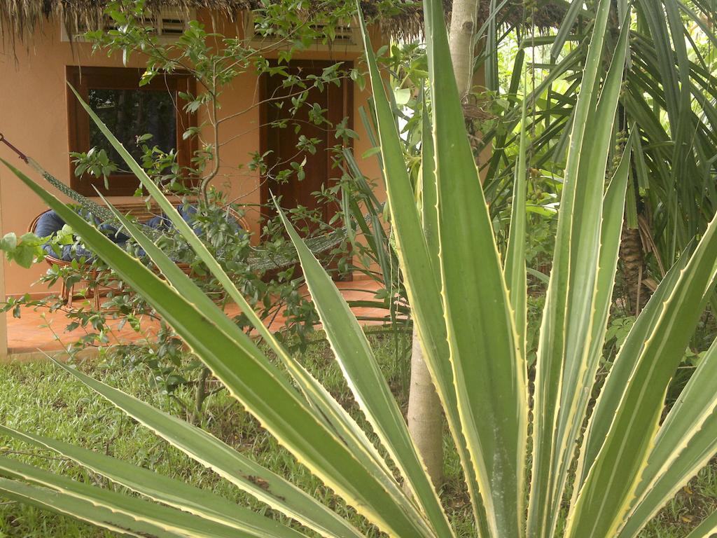 Отель Botanica Кеп Экстерьер фото